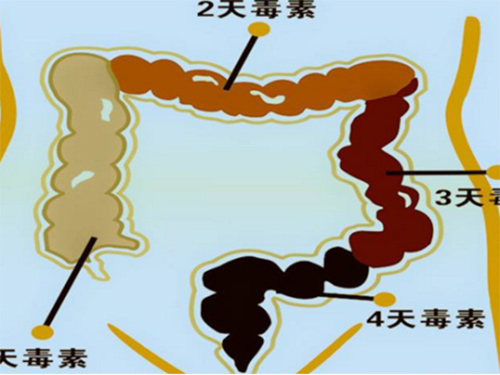 兩招吃遍天，原來(lái)腸道還能這樣清理，你學(xué)會(huì)了嗎？